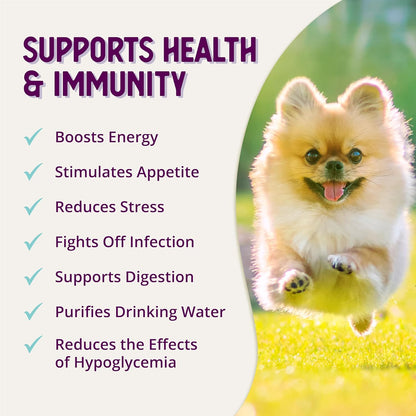 Stress Relief Supplement for Dogs, 8Oz - Appetite & Energy Boost, Prevents Hypoglycemia, Enriched with Vitamin B