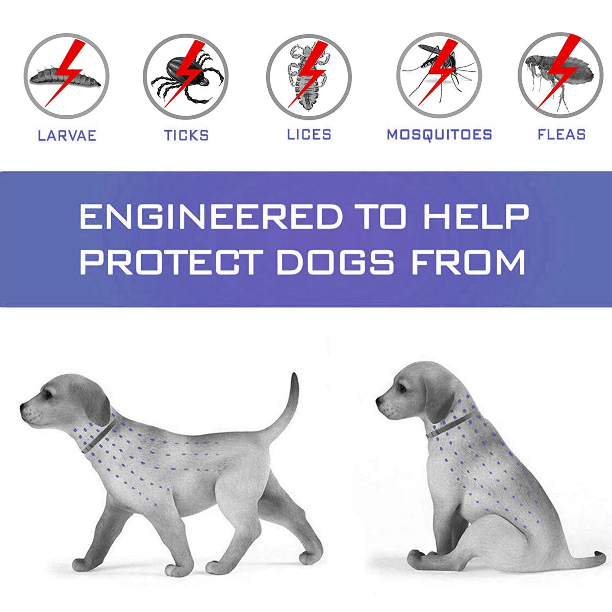 Pet Flea and Tick Collar for Dogs Cats up to 8 Month Flea Tick Prevention Collar Anti-Mosquito & Insect Repellent Puppy Supplies